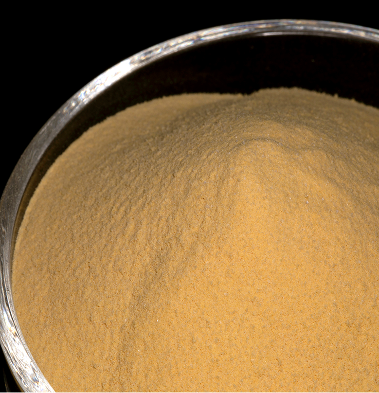 top sale Yeast Extract Food Powder