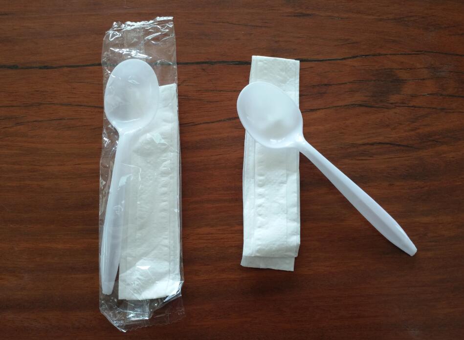 Disposable Plastic Spoon Set