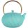 CAST IRON TEA POT KETTLE