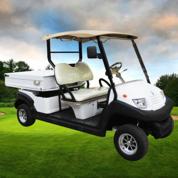 EG Buggy Cart 2 Seater Mini Cargo Electric Utility Golf Cart with Cargo Box