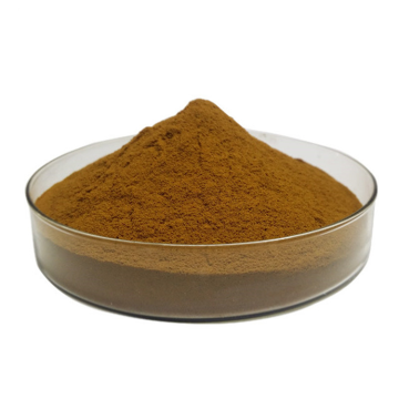 Cnidium Extract Powder Cnidium Monnieri Powder