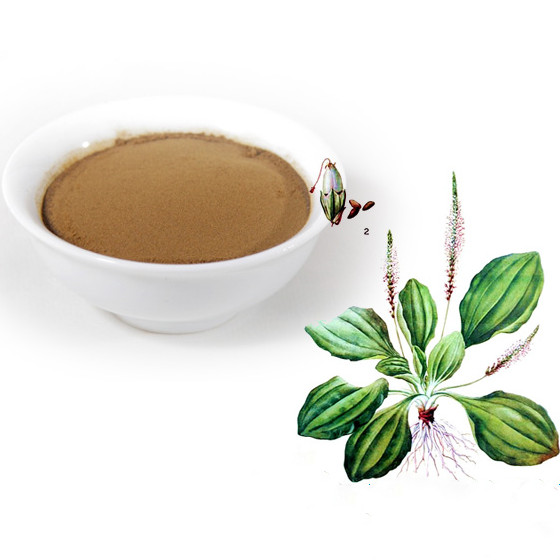 psyllium husk extract powder
