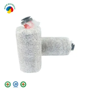 Mass-produced Hot Sale Organic Oyster Mushroom Spawn