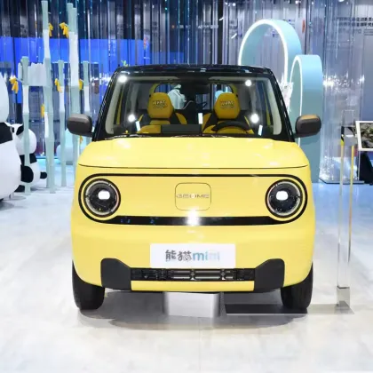 Geely Panda Mini Electric Car: 120km New Energy Vehicle for 2024