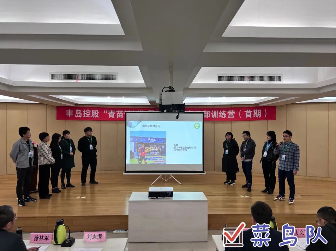 Qingmiao 4