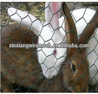 Hexagonal Wire Netting