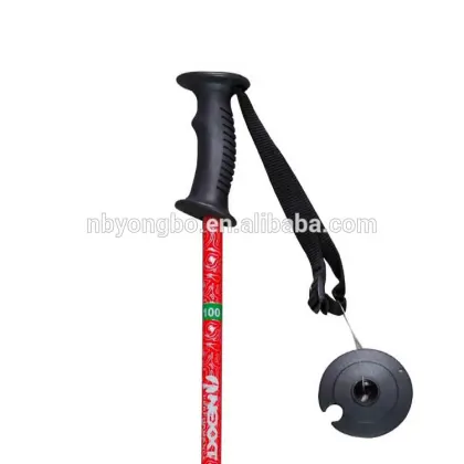 Carbon fiber odm alpine winter sports custom longth cheap ski pole alpine touring skis