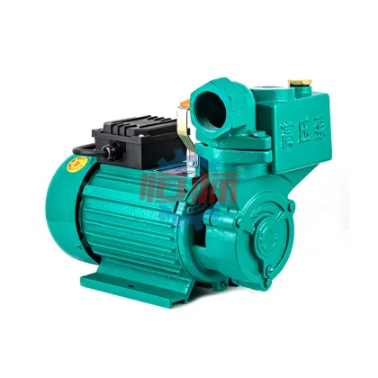 ZDB Series 1/2 HP Small Electric Peripheral Self-Priming Pump