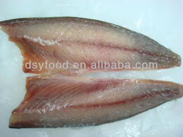 Frzoen Horse Mackerel 20cm+