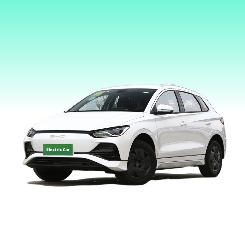 Домохозяйство Compact BYD E2