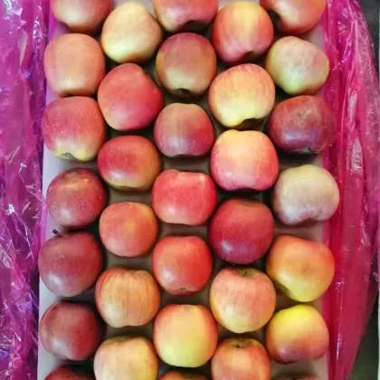 fresh delicious high quality honey fuji apples