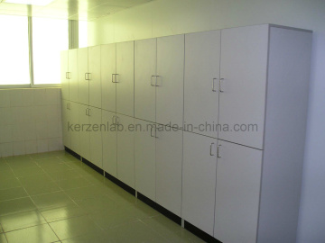 Direct Factory Produced Wood Locker