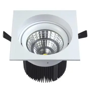 CITIZEN COB DOWN LIGHT