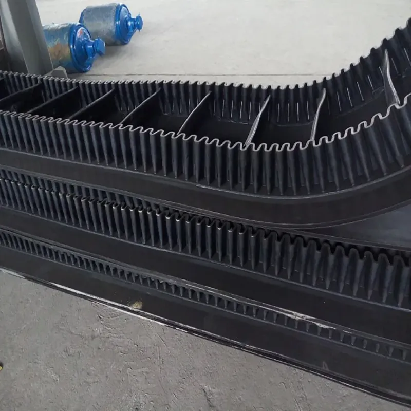 Vertical Sidewall Belt Conveyor (DJS)