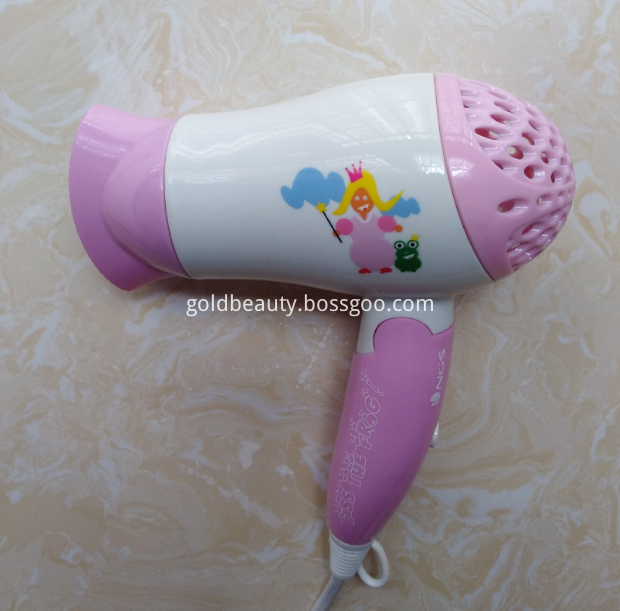 Fshionable Design Hair Dryer