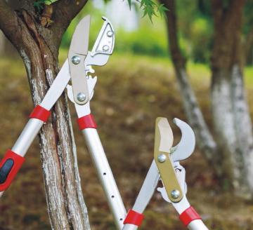 New pattern Garden cutting tools
