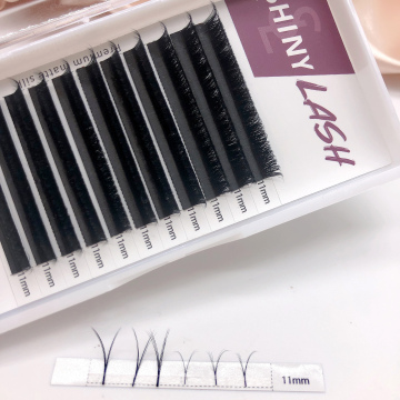 Wholesale Custom V Shape Auto Fan Eyelashes for Russian Volume Extensions