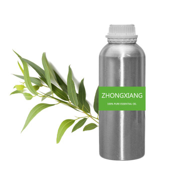 Factory supply wholesale price pure natural eucalyptus oil