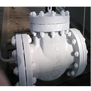 Class 300 CF8 Check valve
