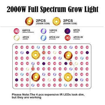 2000W Led Grow Light Szklarnia