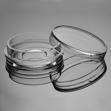 Plato de cultivo celular con fondo de vidrio de 15 mm