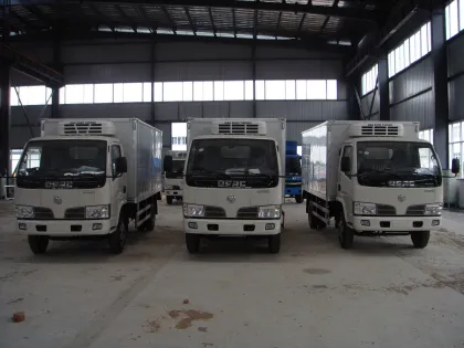 Refrigerated Truck for Fresh Vegetable and Ice Cream Transportation