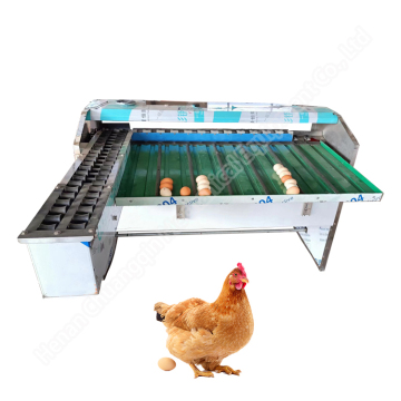 Portable Digital Egg Cleaner, Dryer, and Grader: Automatic Egg Sorting and Packing Machine