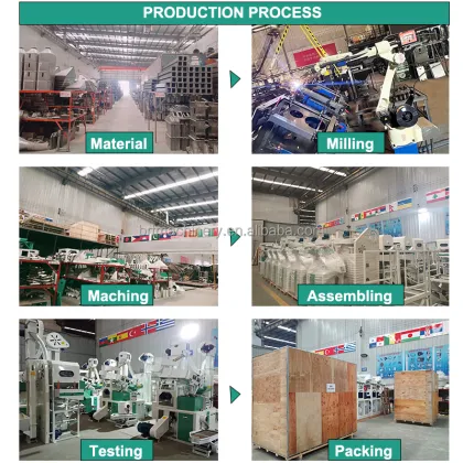 High-Efficiency 20TPD Rice Milling Machine for Business Use in Nueva Ecija