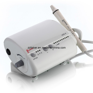 Lk-F24 Woodpecker Ultrasonic Scaler Uds-a/Dental Ultrasonic Scaler/CE FDA Uds-a Ultraonic Scaler/EMS Compatible Ultrasonic Scaler