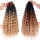 Synthetic Ombre 24inches Butterfly Box Braid Crochet Hair
