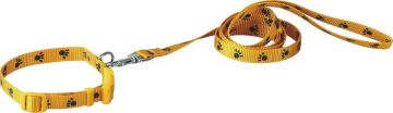 Strong Polyester Or Nylon Material Pet Leashes With Adjustable Collar Strap (15mm X 120cm) 37010