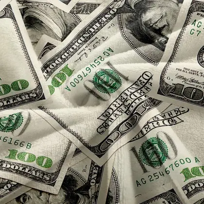 Million Dollar Novelty Print Blankets: Combining Luxury, Fun, and Comfort