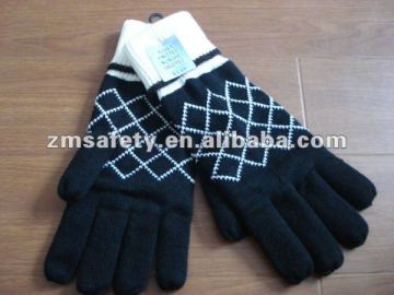 Lady Fashion Winter Thermal Windproof Gloves ZMR620