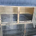 High-Quality Stainless Steel Vet Cages for Animals