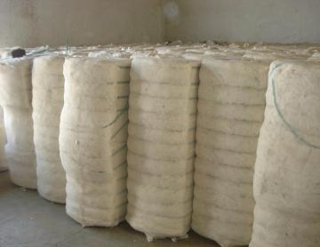 Indian raw cotton  DCH 32