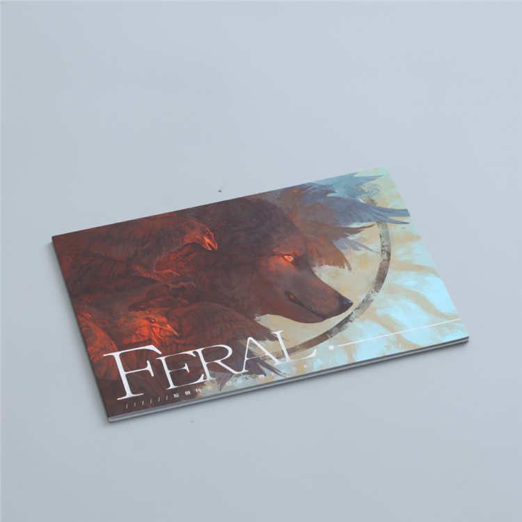 Tri Fold Booklet Leaflet Hologram Brochure Printing Service