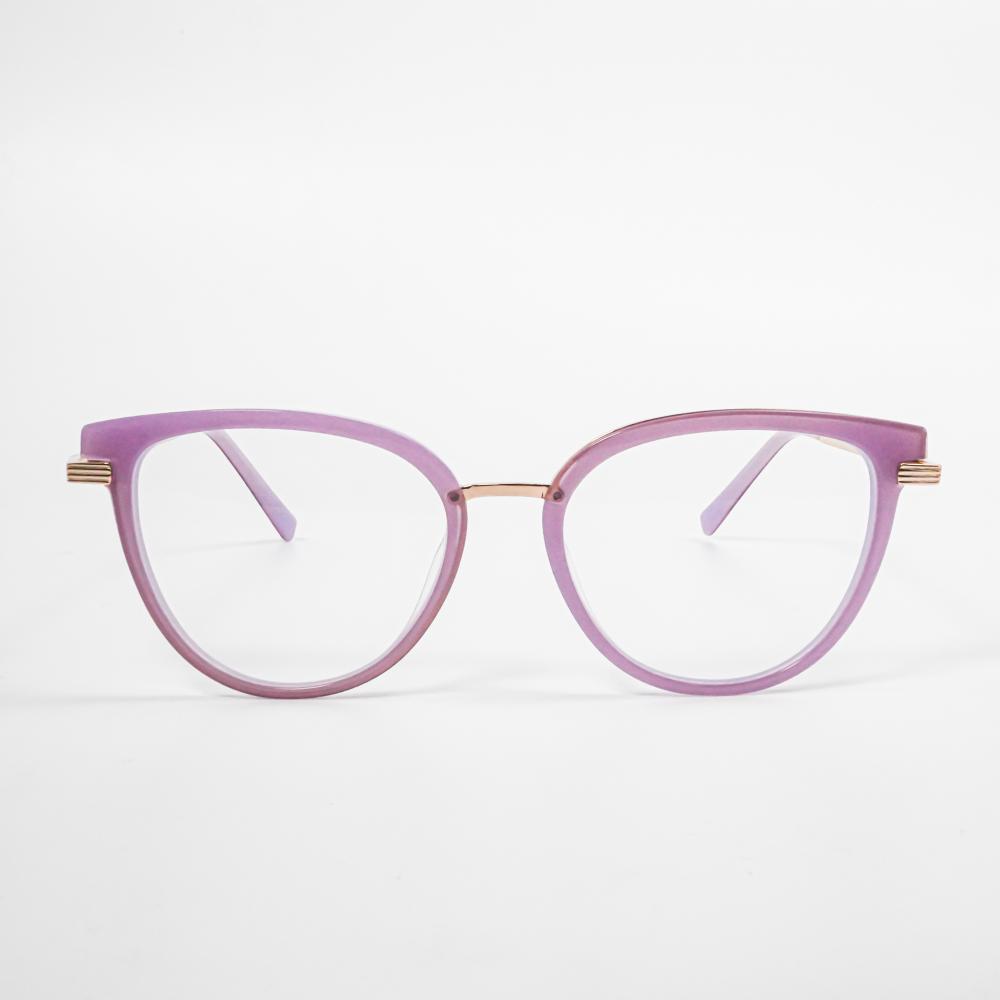 Trendy New Women's Purple Cat Eye Glasses Frames