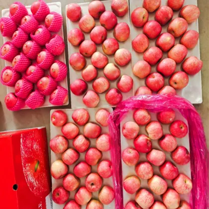 Yan Tai Paper Bagged Fuji Apples