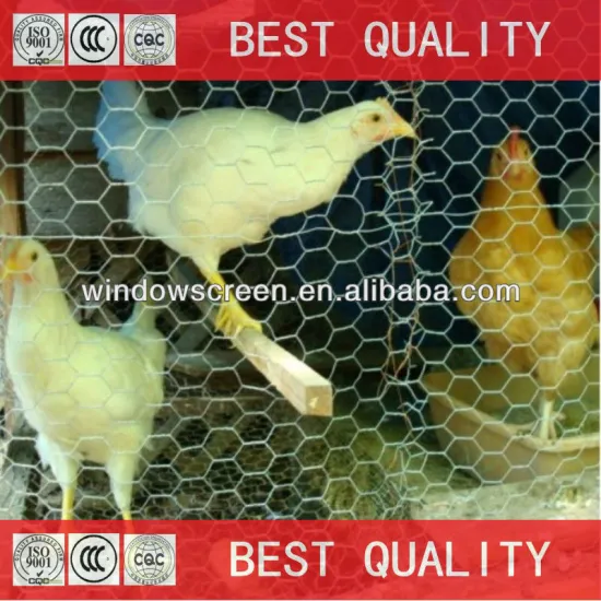rabbits wire mesh