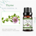 Растании табиӣ Thyme равғани эфириро барои иловаҳои хӯрокворӣ истед