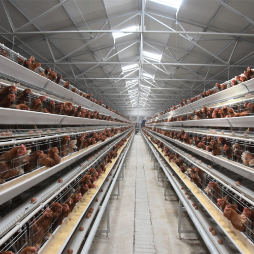 Layer Cage Chicken Cage for Hens Poultry