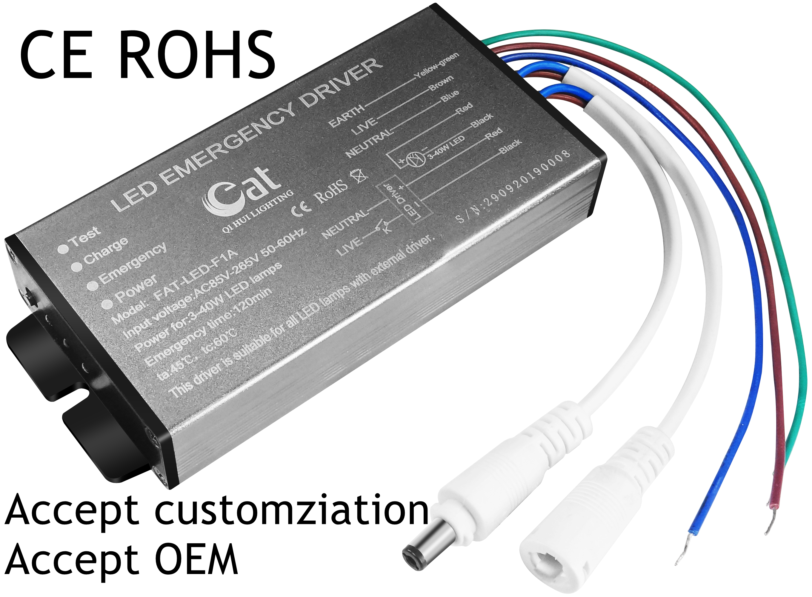 Conducteur de sauvegarde de la batterie d'urgence LED