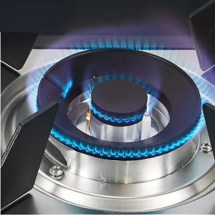 OEM ODM Electric Gas Cooker Induction Cooker 2 Burners Cooktop