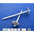 Electo Agalvanized Umbrella Head Roofing Nails Twisted Shank