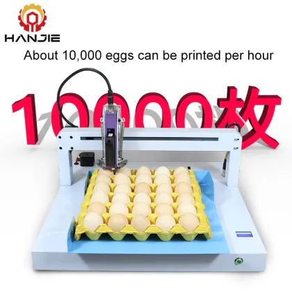 Automatic Egg Inkjet Printer for Coding and Batch Number Marking