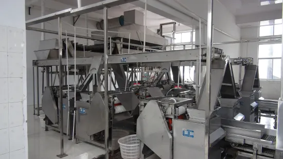 Peanut Soaking And Peeling Production Line