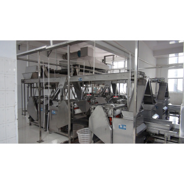 Peanut Soaking And Peeling Production Line