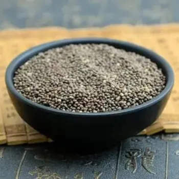 Perilla Seeds Good quality