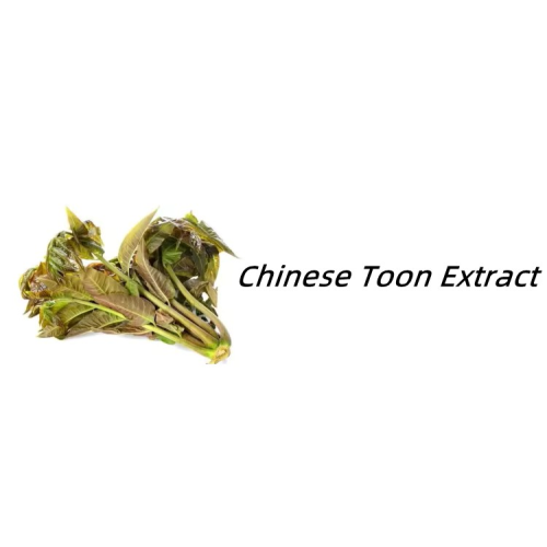 Chinese Toon Extract Toona Sinensis Leaf Extract