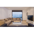 HOT Sale Bio ethanol Fuel Fireplace With Remote